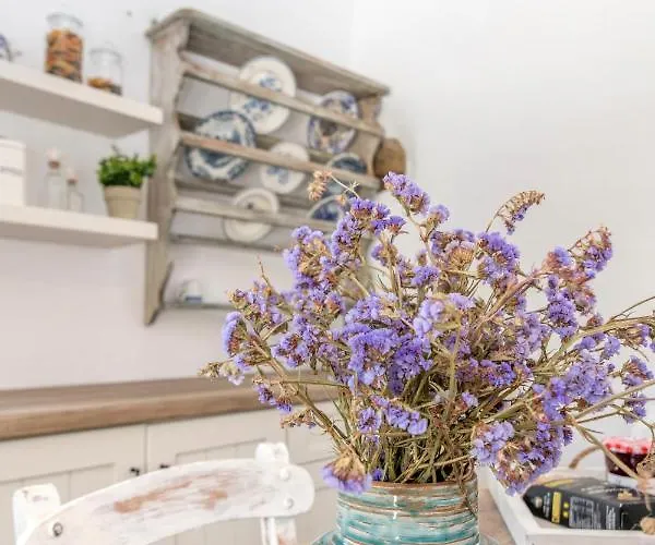 Panousa House * Agios Romanos